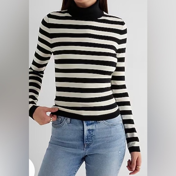 EXPRESS- Silky Soft Fitted Striped Turtleneck Sweater - Picture 1 of 2